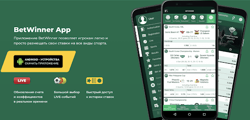 Explore the Exciting World of BetWinner Sports Betting